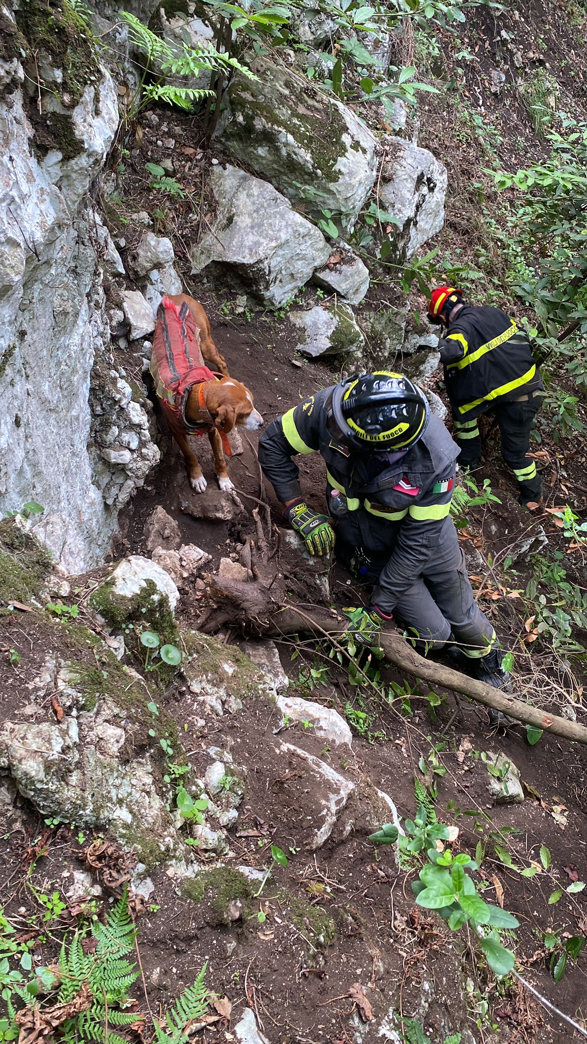 Vigili del Fuoco con unità cinofila durante soccorso